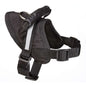 Excursion Harness - Small - Dog Outdoor
