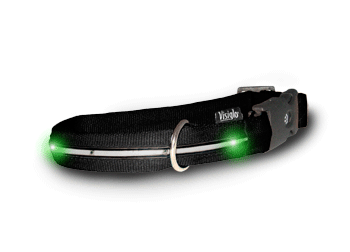 Visiglo Black Collar with LEDs - Dog Safety