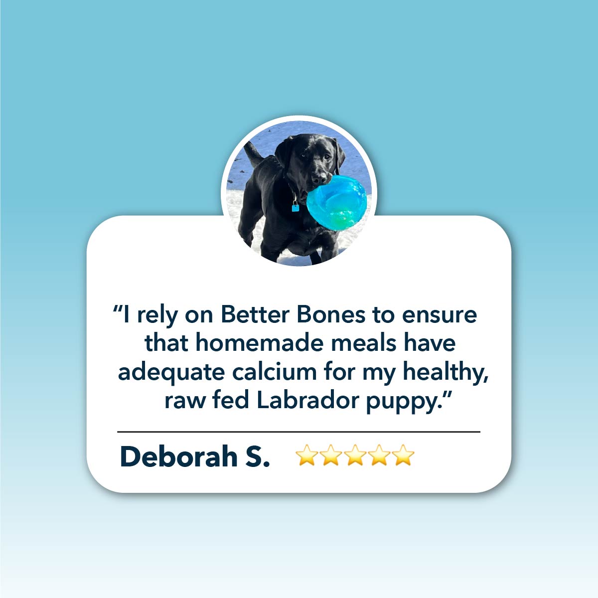Better Bones - Dog Health - Image 4