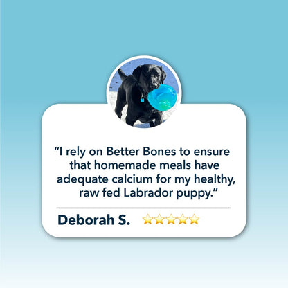 Better Bones - Dog Health - Image 4