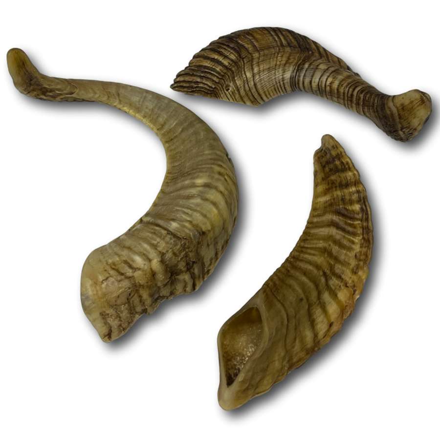 Dog Treat - Goat Horns