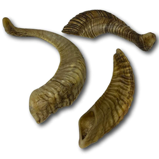Dog Treat - Goat Horns