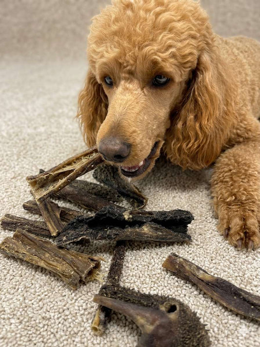 Dog Treat - Green Beef Tripe Chunks & Sticks - 16oz