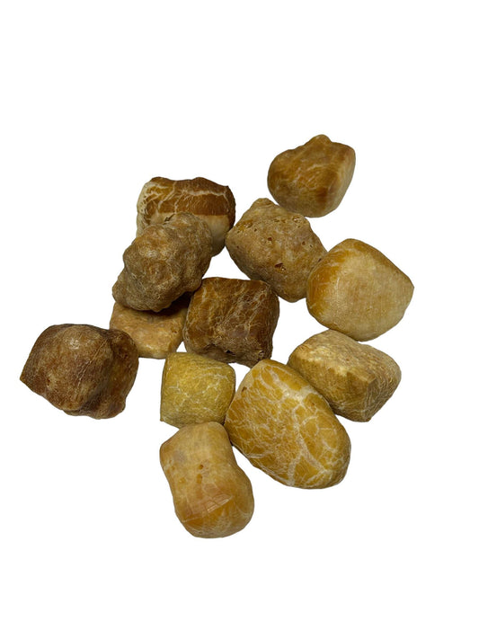 Dog Treat - Himalayan Cheese Puffs