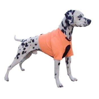 K9 Top Coat Hunting Vest - Dog Clothing