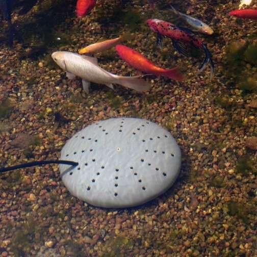 Fish Pond - K&H Perfect Climate Submersible Deicer with Float - Hardware Items
