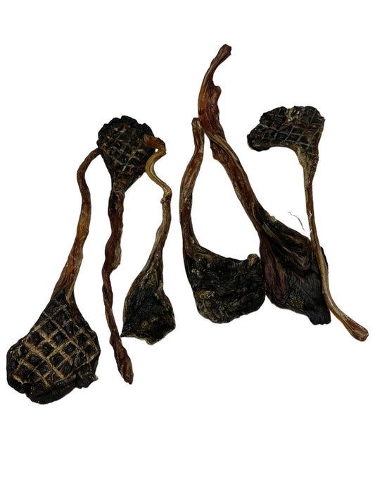 Dog Treat - Kangaroo Lollipops - 8oz