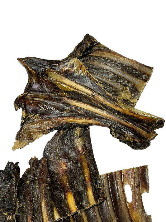 Dog Treat - Kangaroo Rib Pieces