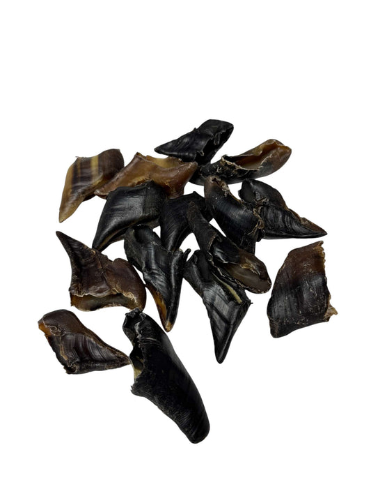 Dog Treat - Lamb Hooves - Image 2