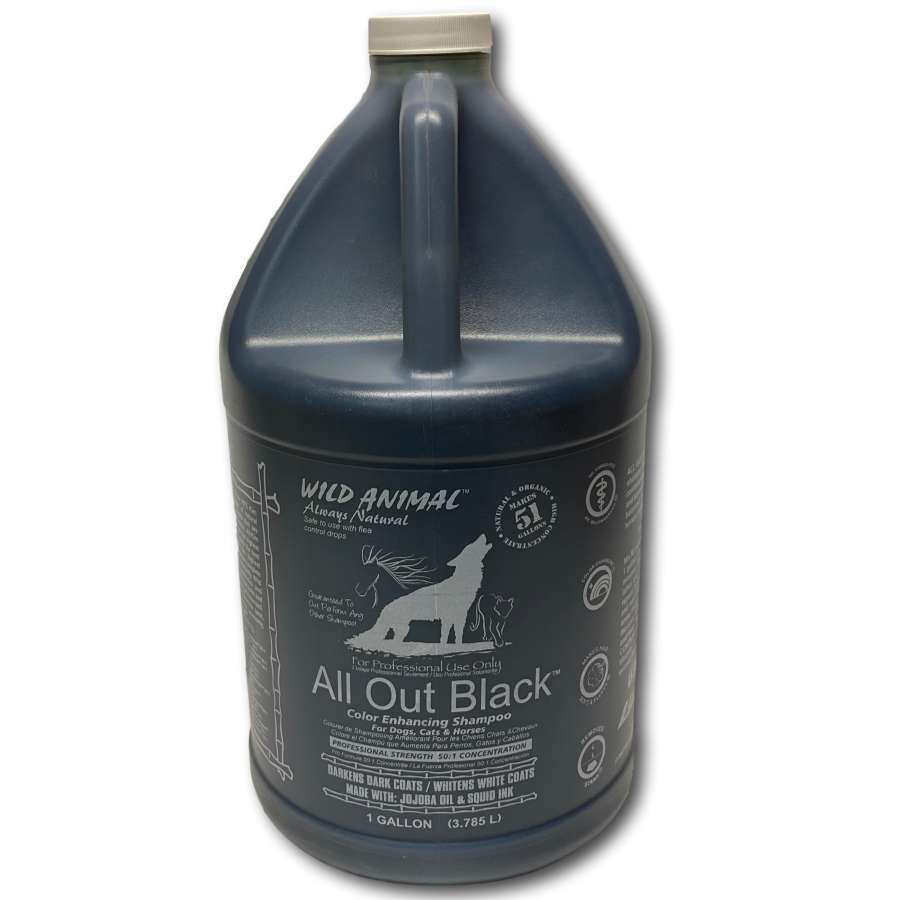 Laube All Out Black Shampoo - Dog Grooming