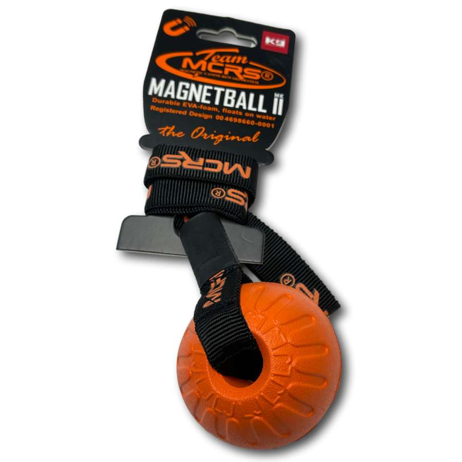 MCRS Foam Magnet Ball - Dog Outdoor