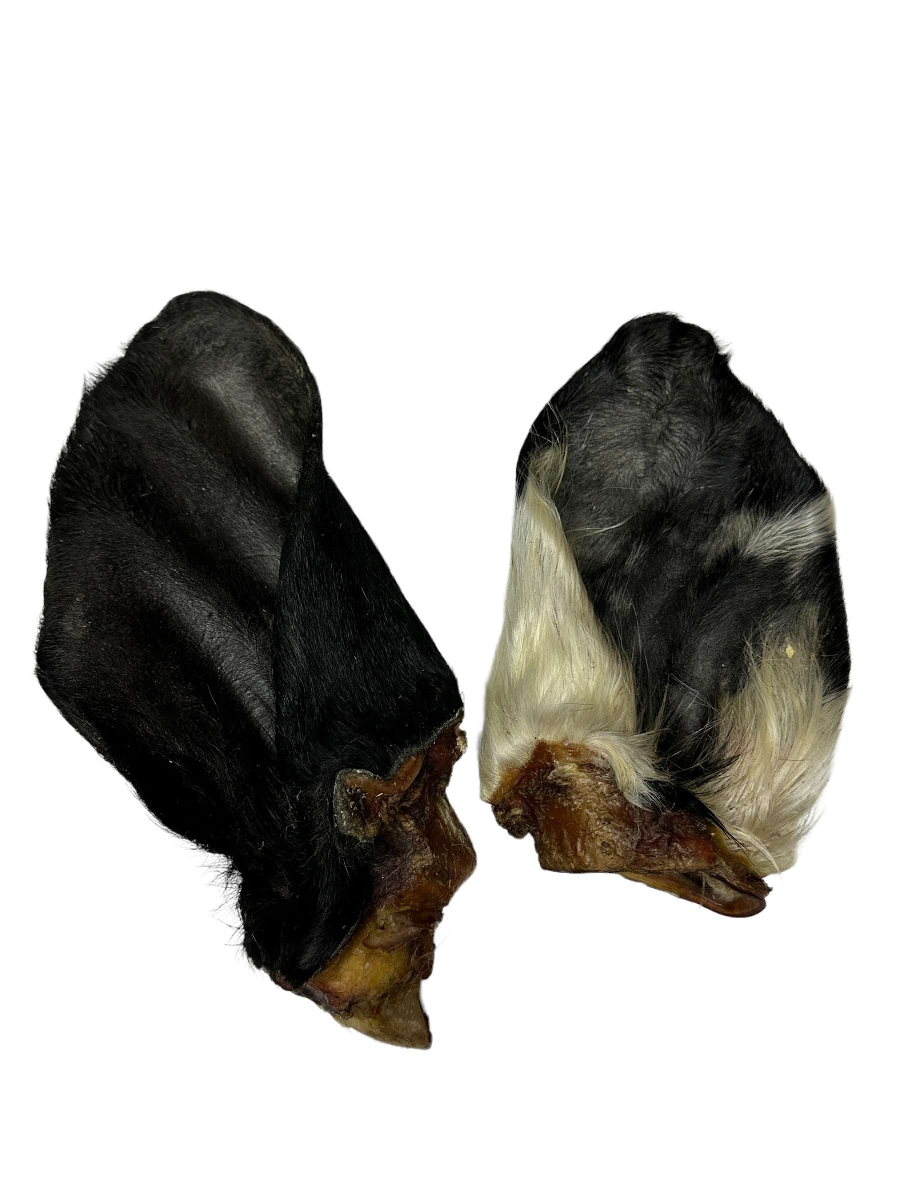 Dog Treat - Natural Cow Ears