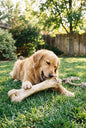 Ostrich Monster Bones - Dog Treat