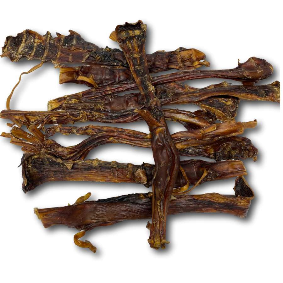 Dog Treat - Ostrich Tendon - Jumbo - Image 2