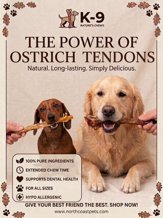 Dog Treat - Ostrich Tendons Big 2 Pack Dog Treats