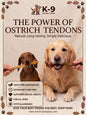 Dog Treat - Ostrich Tendons Big 2 Pack Dog Treats