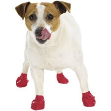 Pawz Disposable Dog Boots - Dog Clothing