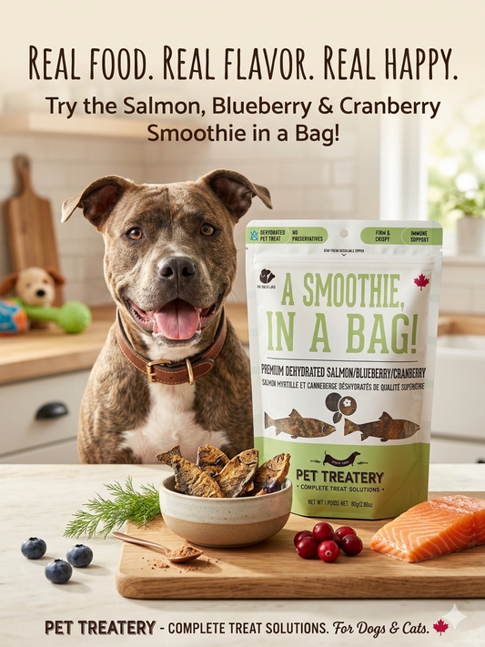 Dog Treat - Smoothie In A Bag Dog Treats