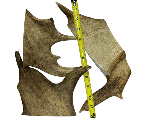 Dog Treat - Power Paddle Deer Antlers - Image 2