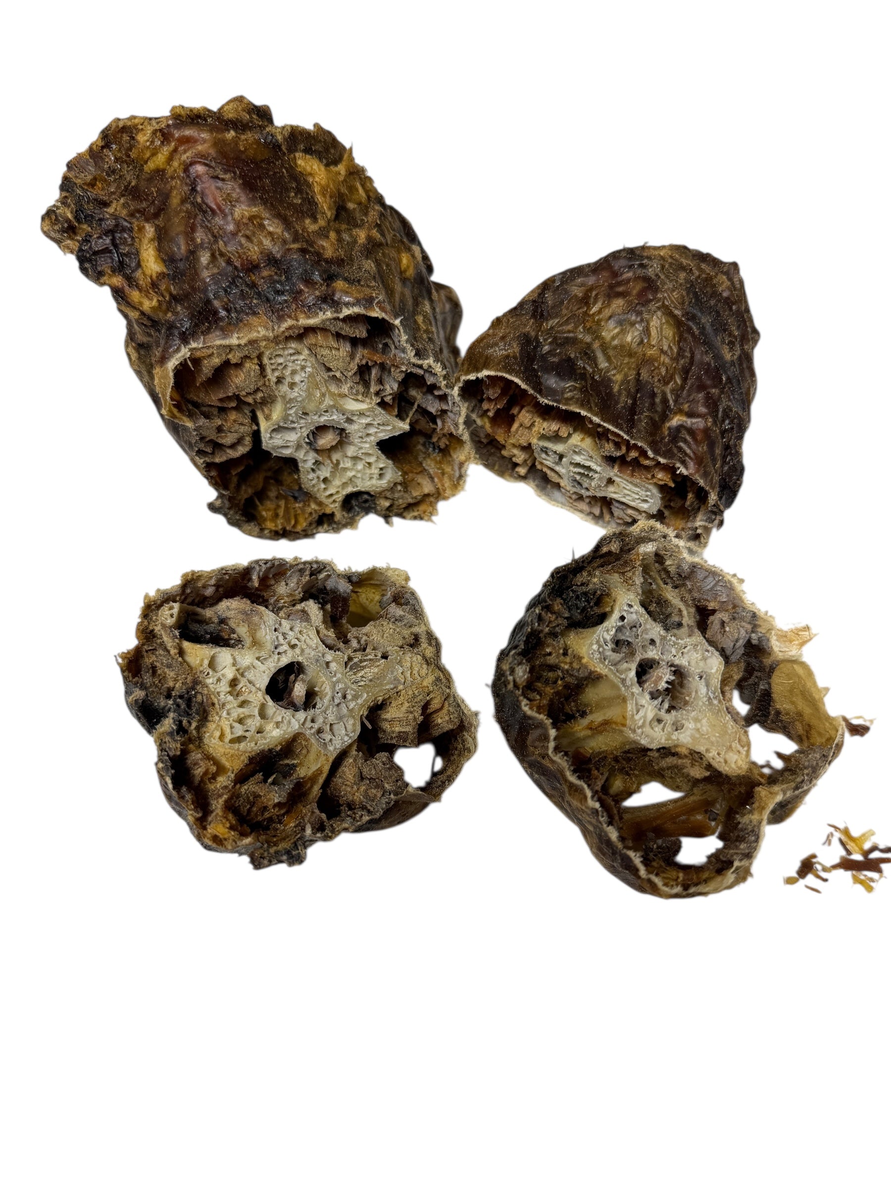Dog Treat - Ostrich Neck Filets