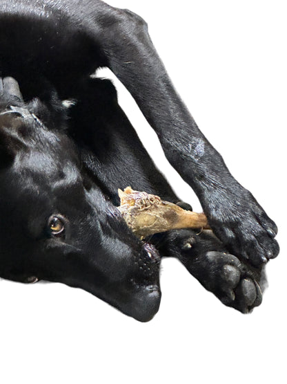 Dog Treat - Ostrich Wing Marrow Bones - Image 2