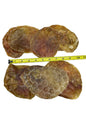 Dog Treat - Beef Bladder Pucks