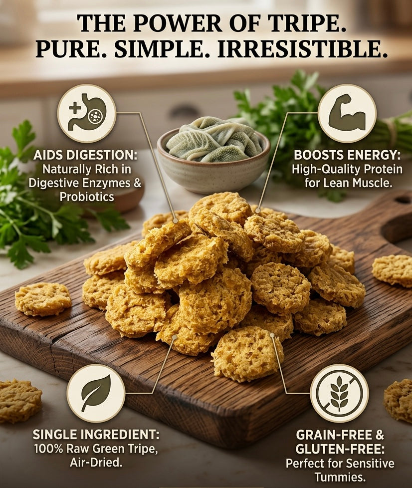 Dog Treat - Green Tripe Chips