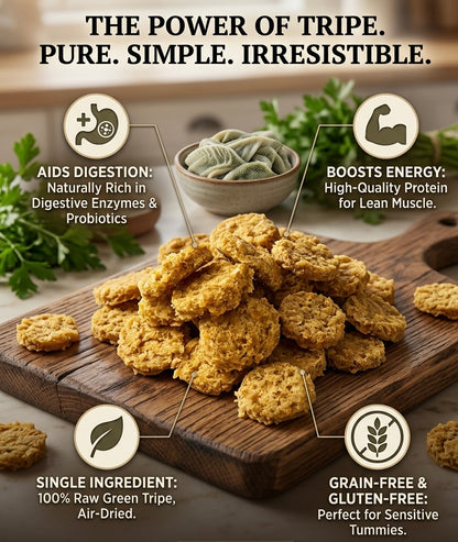 Dog Treat - Green Tripe Chips