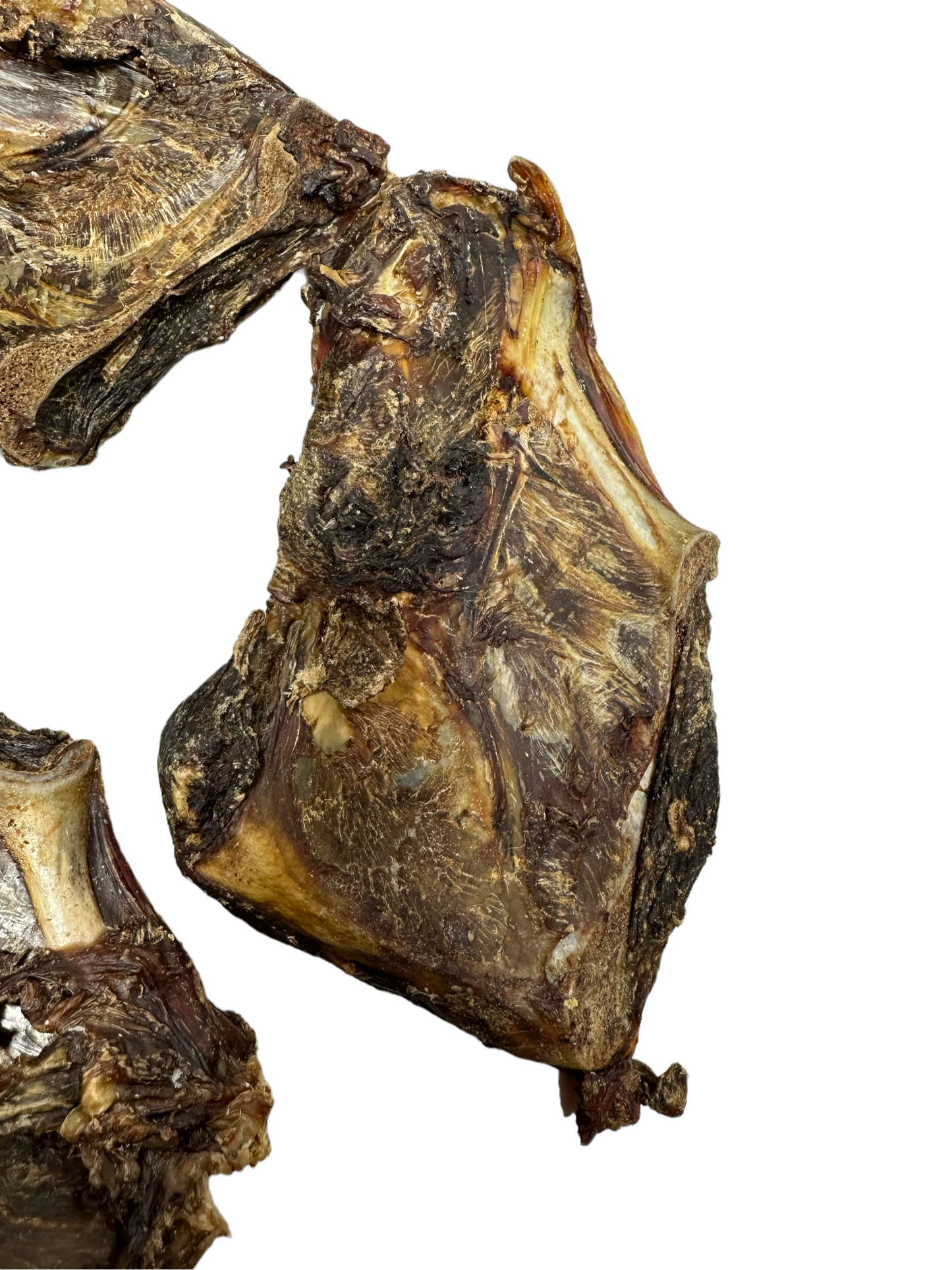 Dog Treat - Kangaroo Scapula - Image 4