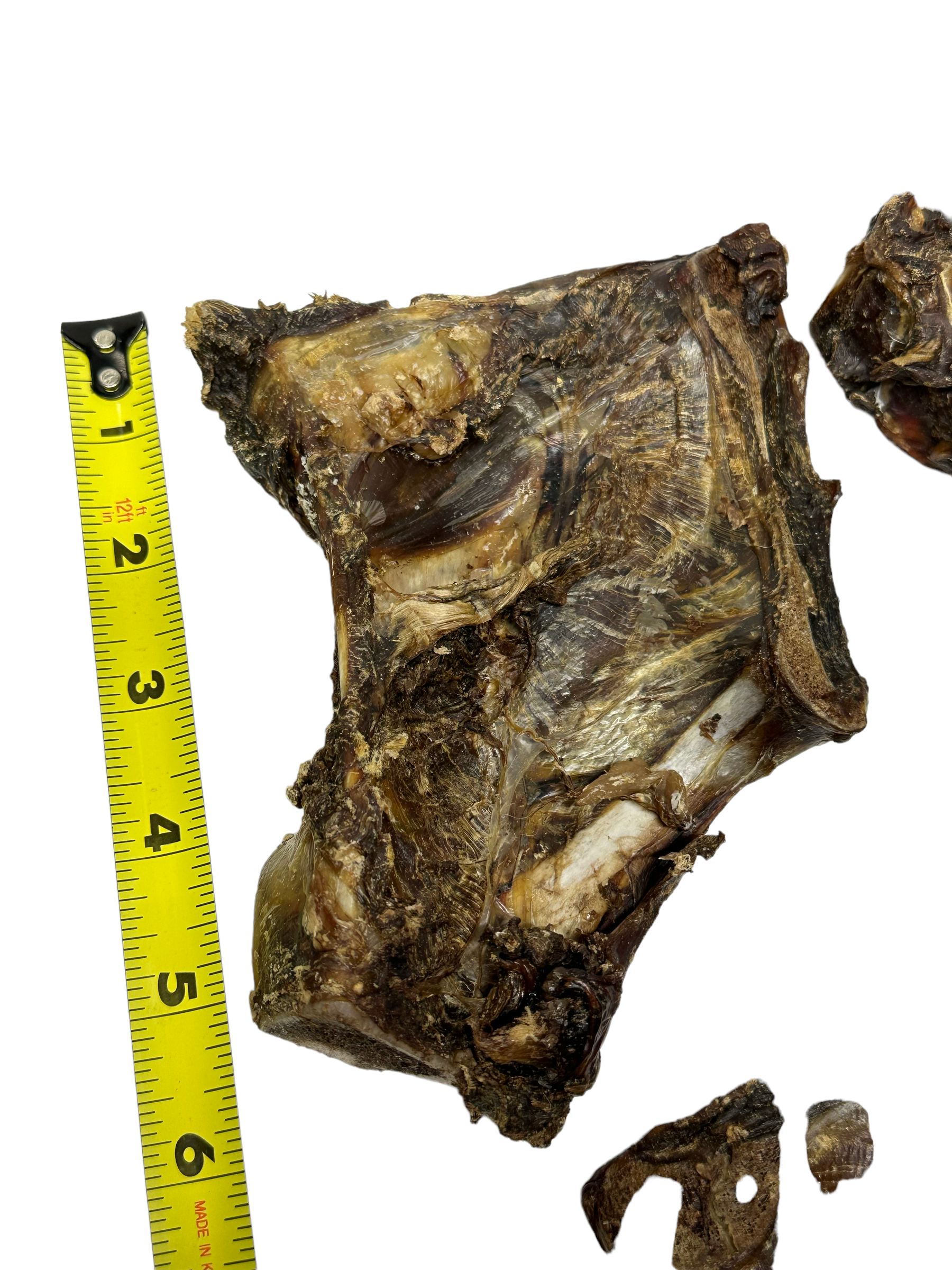 Dog Treat - Kangaroo Scapula - Image 2