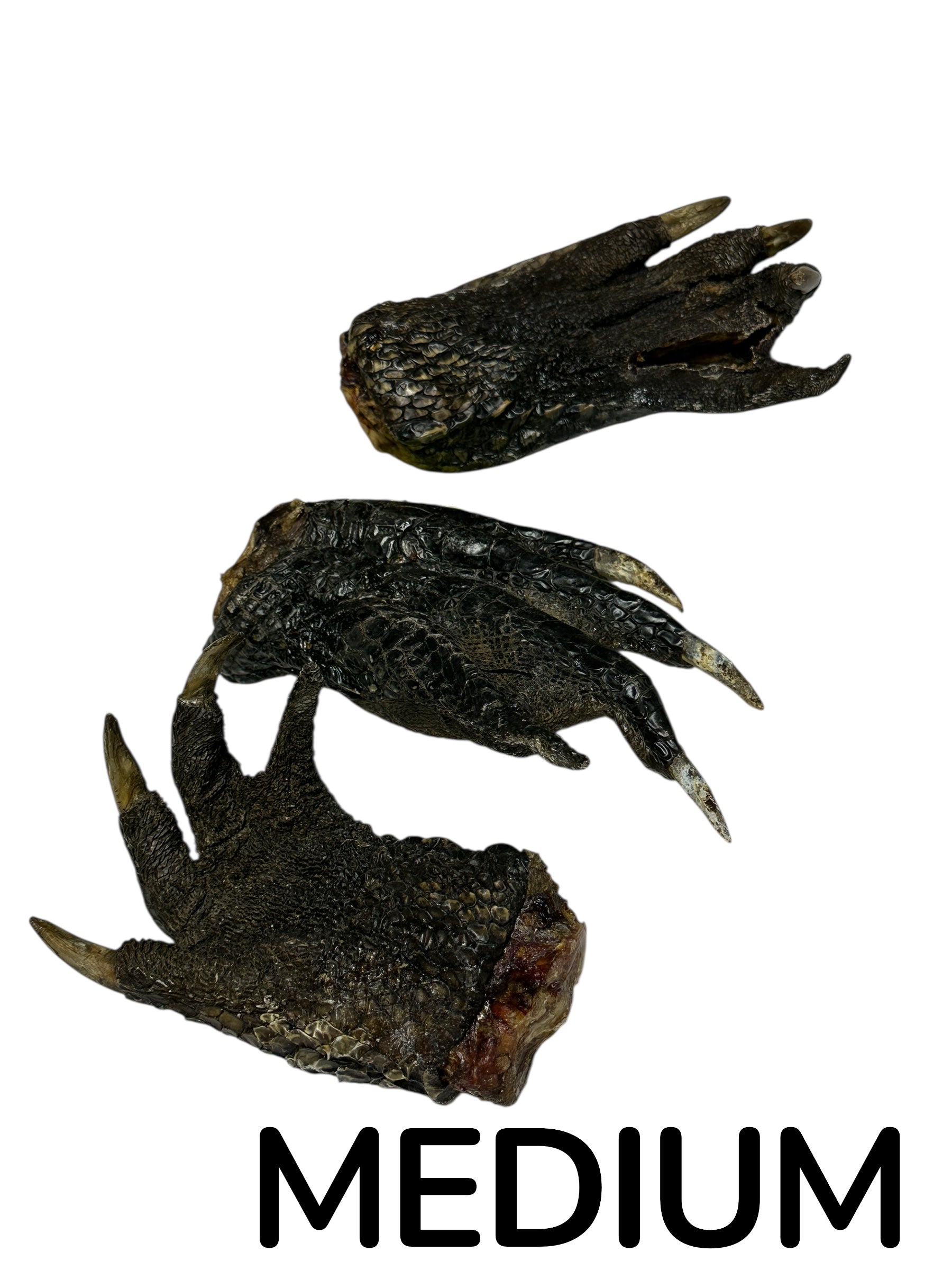 Dog Treat - Gator Paws