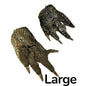 Dog Treat - Gator Paws - Image 2
