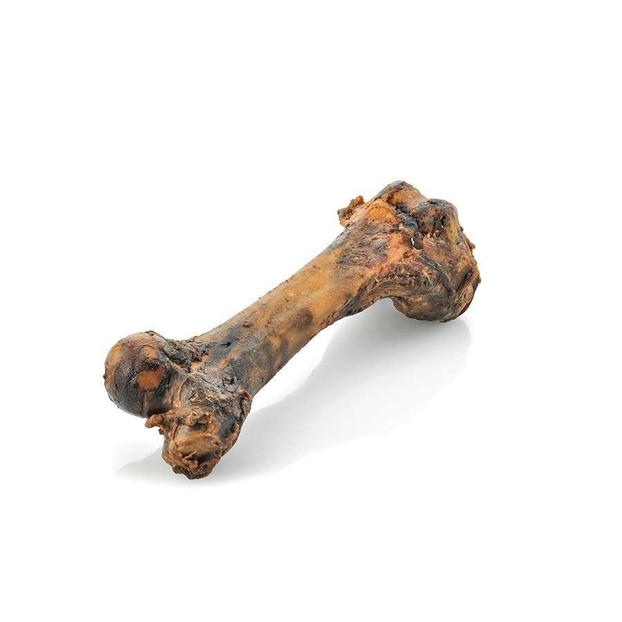 Dog Treat - Pork Femur Bone