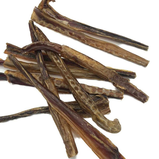 Dog Treat - Pork Pizzle Flossers 10 Pack
