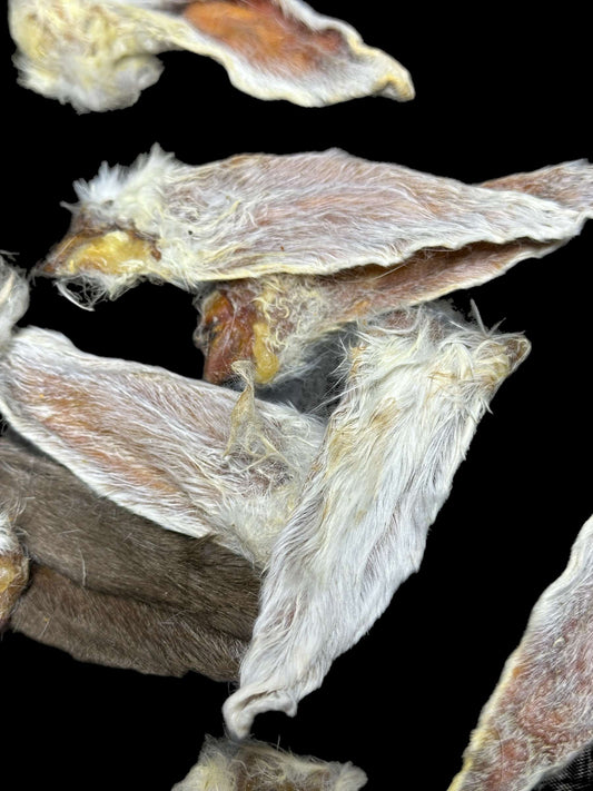 Dog Treat - Rabbit Ear Treats- All Natural - Image 2