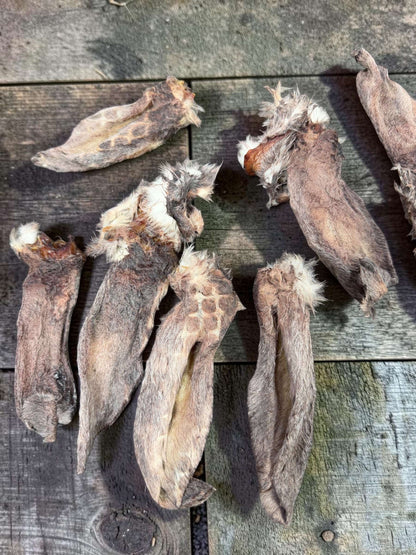 a group of dried plants on a wood surface