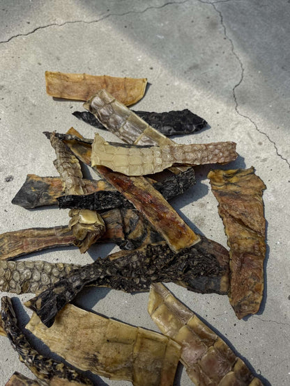 Swamp Chips Alligator Hide Dog Treat – Single Ingredient Hypoallergenic 10 Pack