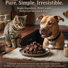 Dog and cat looking at tuna cubes on a plate with text about the product.