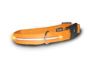 Visiglo Orange Collar with LEDs - Dog Safety