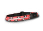 Visiglo Paws Collar with LEDs - Dog Safety