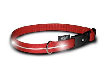 Visiglo Red Collar with LEDs - Dog Safety