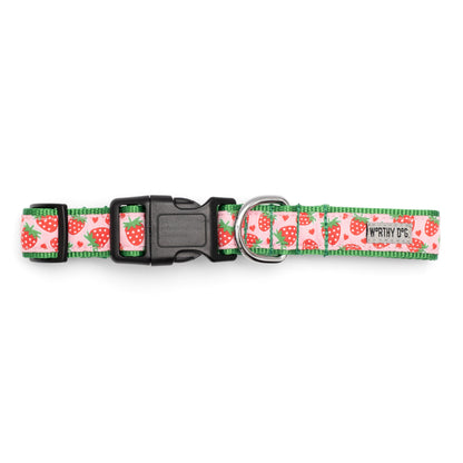 Pink Strawberry Print Nylon Dog Collar in pink, product view 3