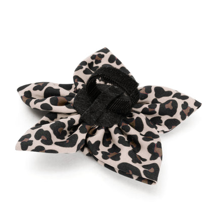 Leopard Dog Flower – Polyester, Tan, Pink & Teal, Sizes S, L