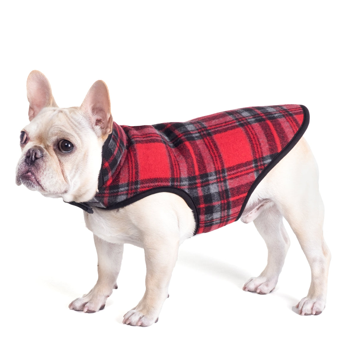 Plaid Dog Jacket, red/black, product view 2