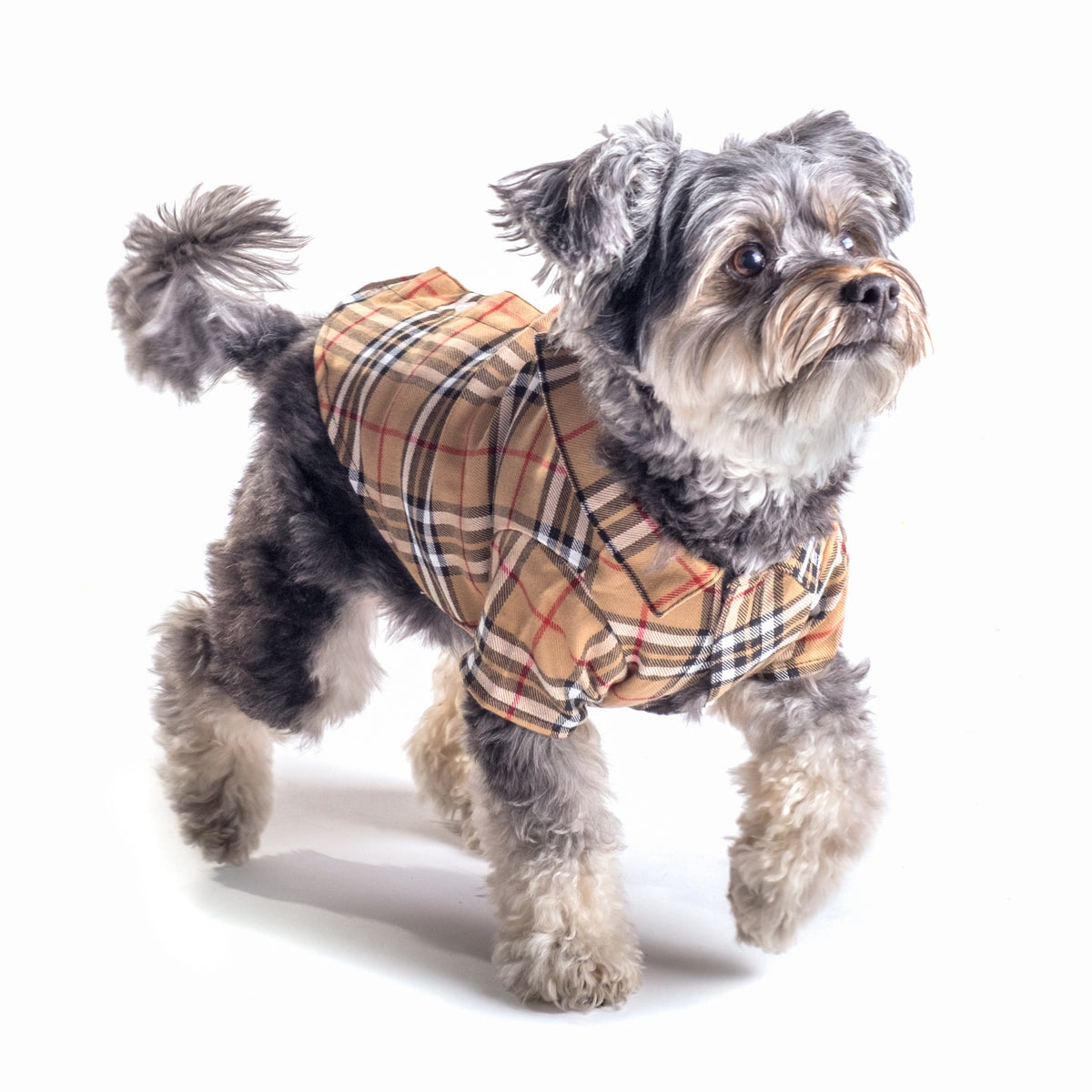 Tan Plaid Dog Shirt – Cotton, Tan, Sizes XS–XXL