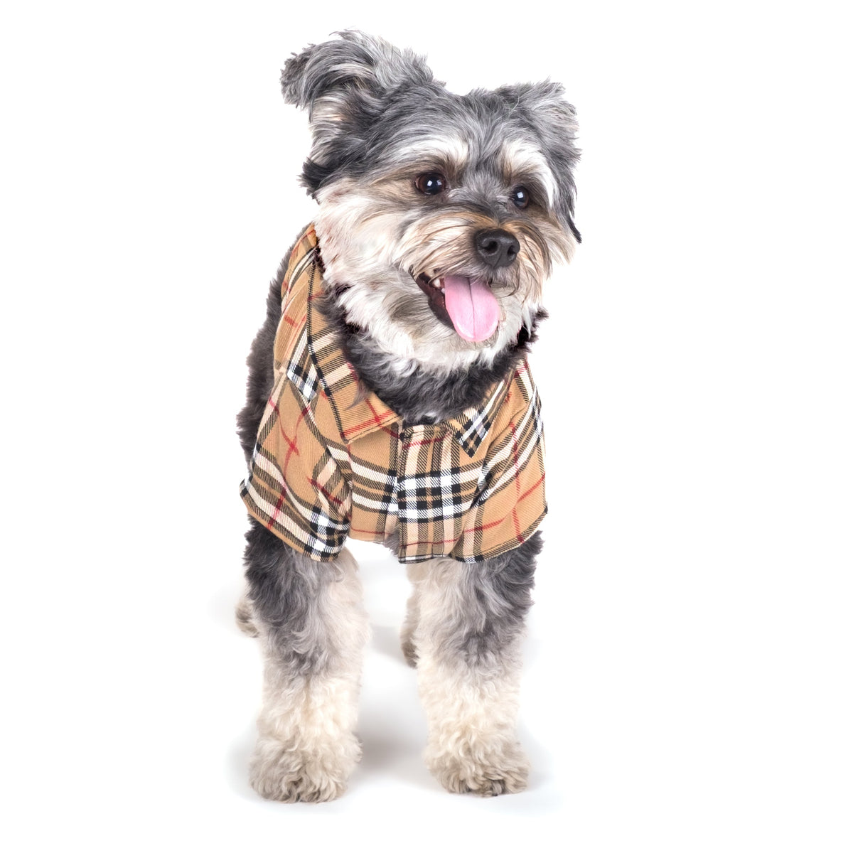 Tan Plaid Dog Shirt – Cotton, Tan, Sizes XS–XXL