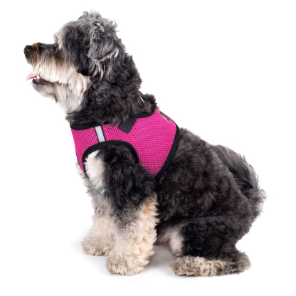 Mesh Step-In Dog Harness in pink, product view 12