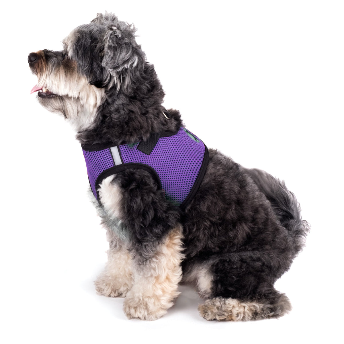 Mesh Step-In Dog Harness in purple, product view 9
