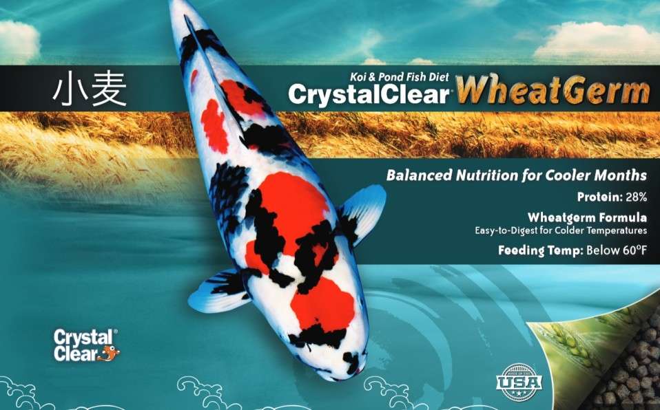 Fish Feeding - Wheat Germ Pond Food - 1lb - Fish Feeding Products