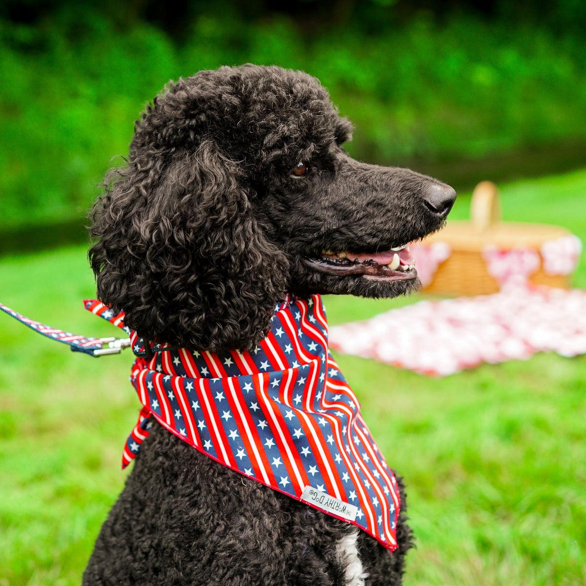 Bias Stars and Stripes Dog Bandana – Polyester, Red/White/Blue, Sizes S, L
